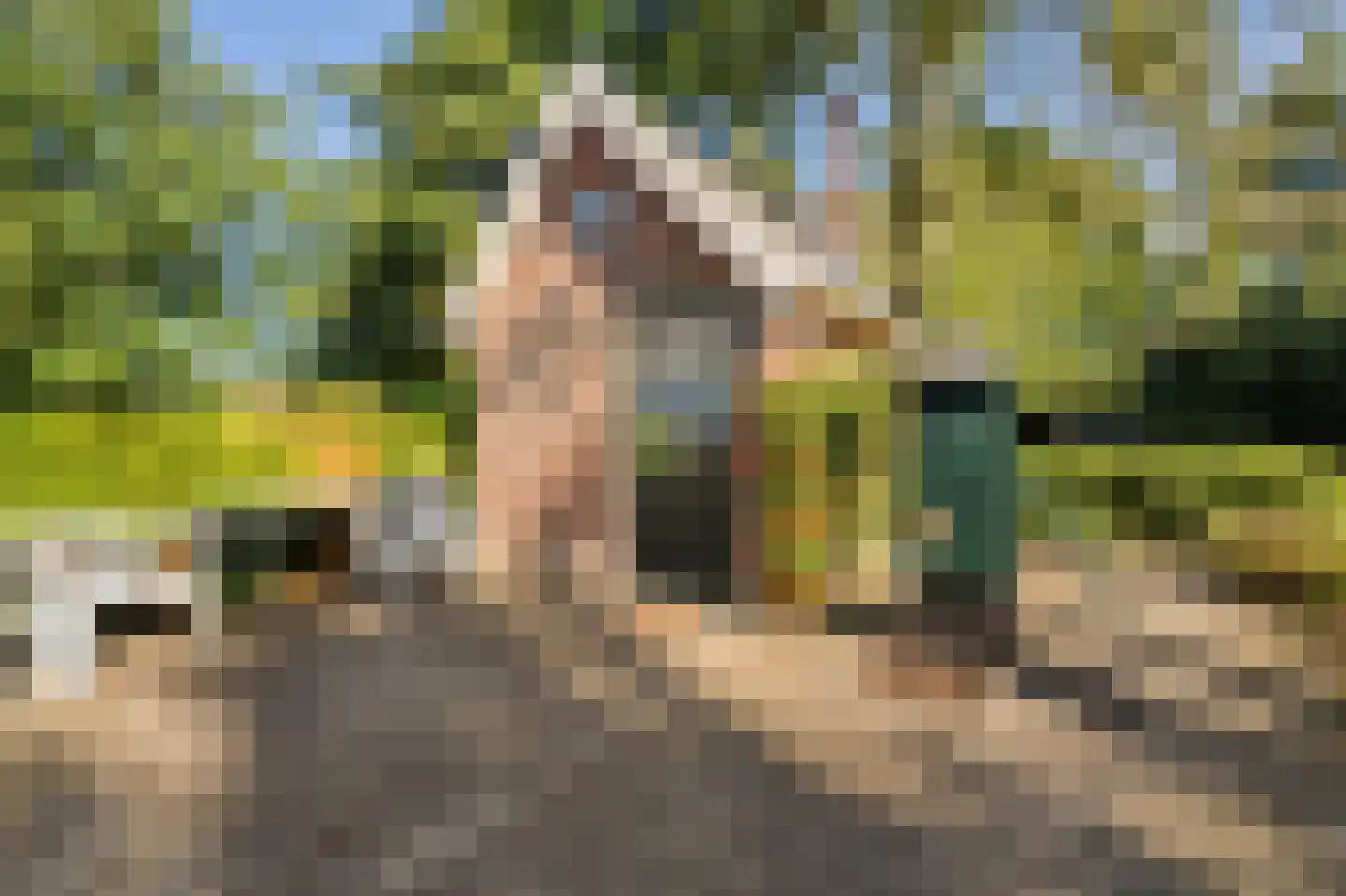 Stoevenweg 7 Heino thumbnail 39