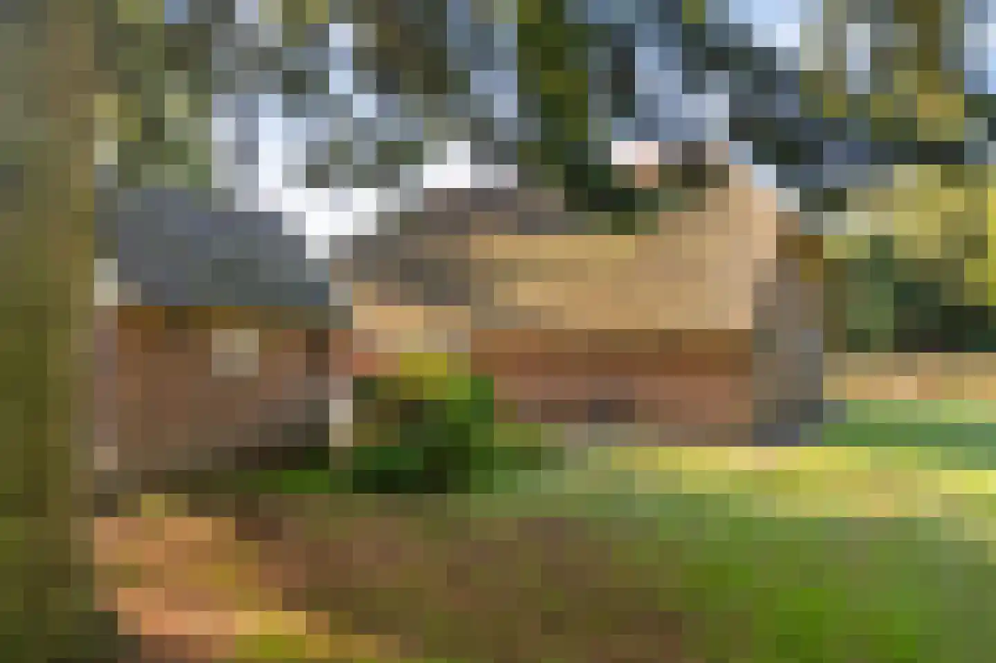 Stoevenweg 7 Heino thumbnail 46
