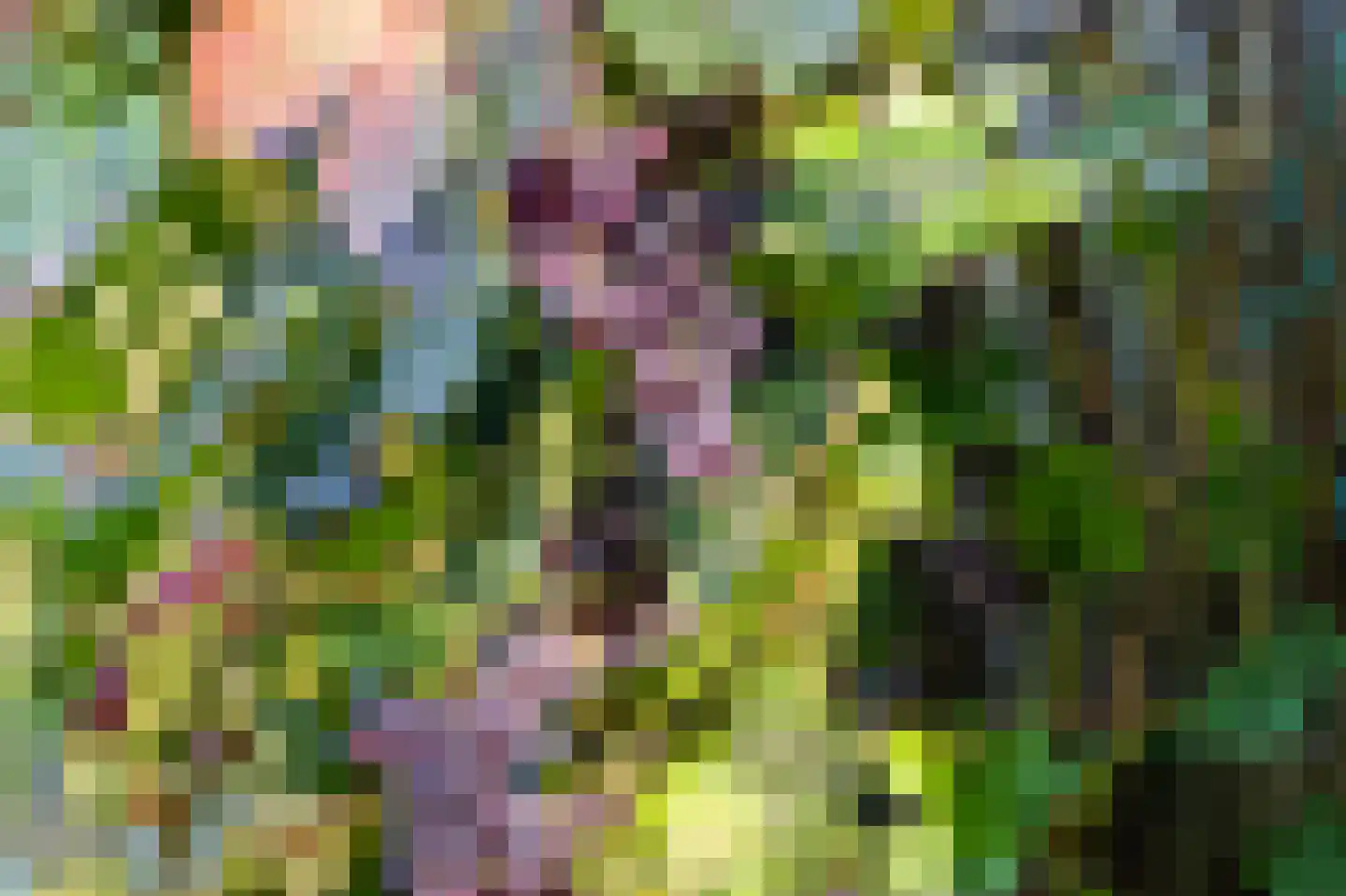 Stoevenweg 7 Heino thumbnail 51