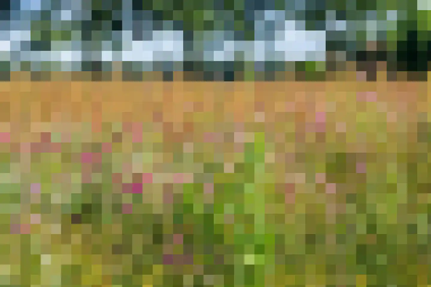 Stoevenweg 7 Heino thumbnail 52
