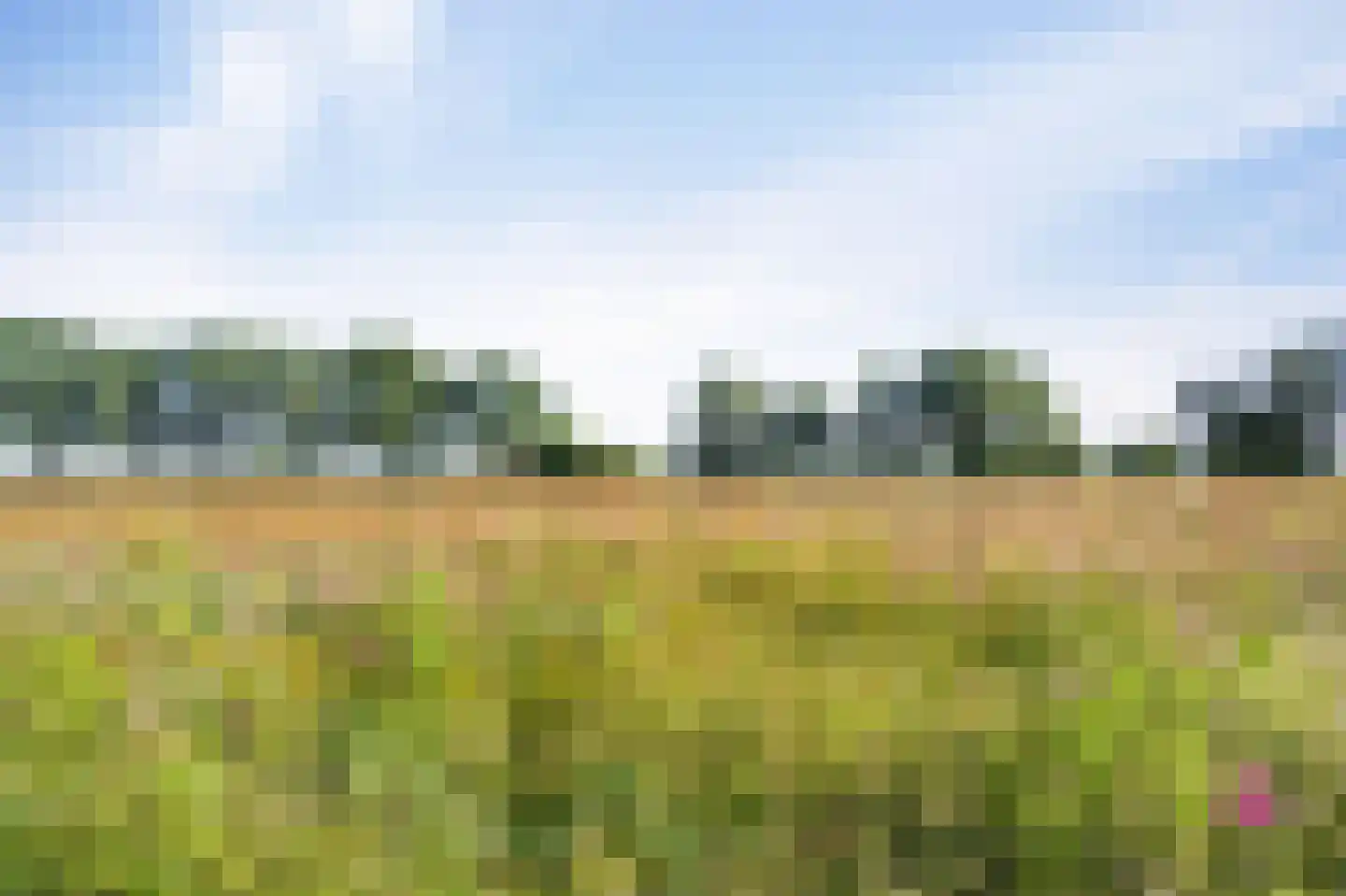 Stoevenweg 7 Heino thumbnail 53