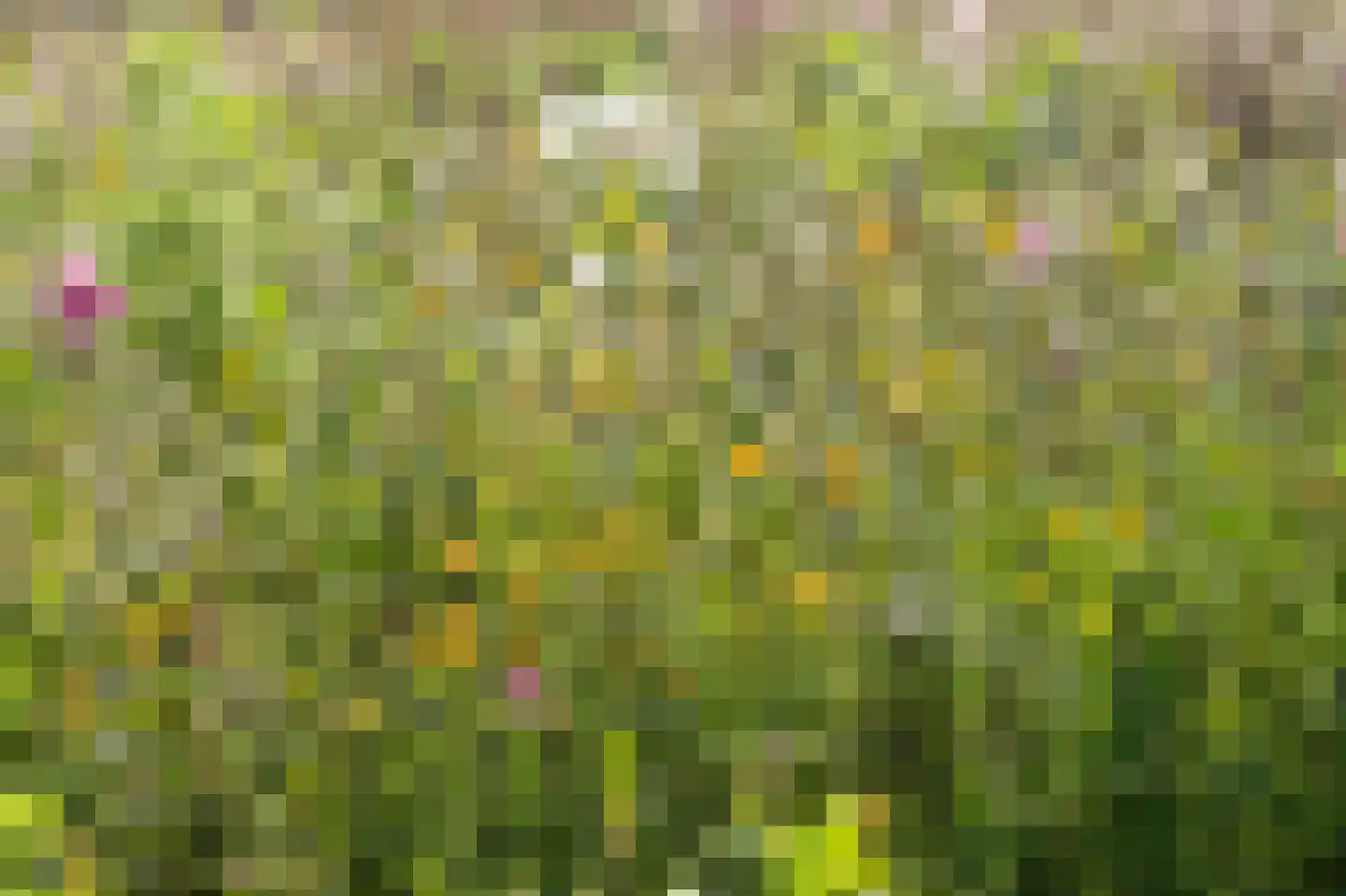 Stoevenweg 7 Heino thumbnail 54