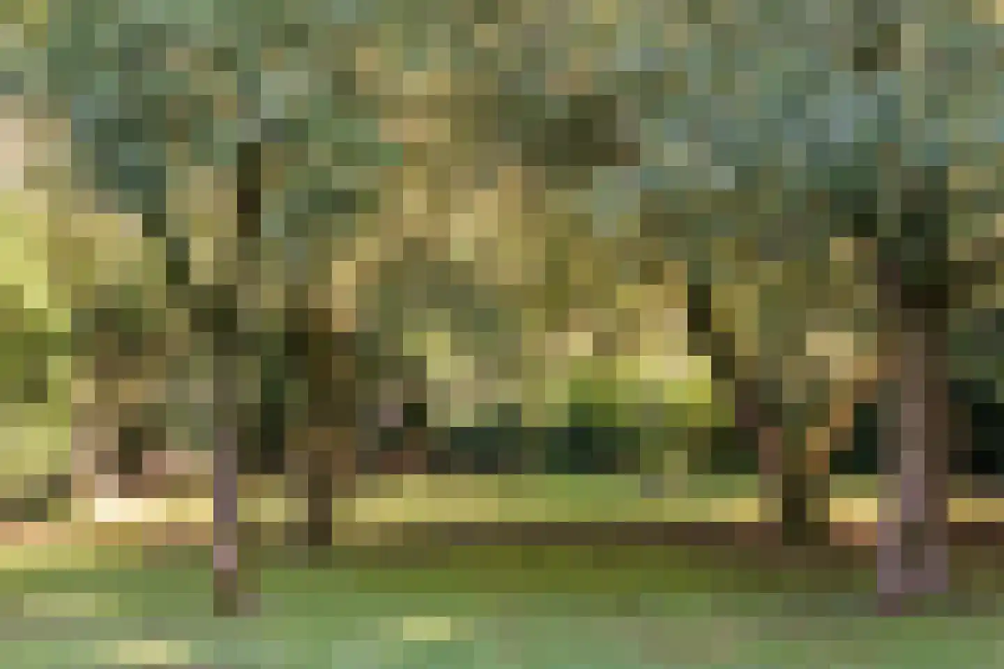 Stoevenweg 7 Heino thumbnail 55