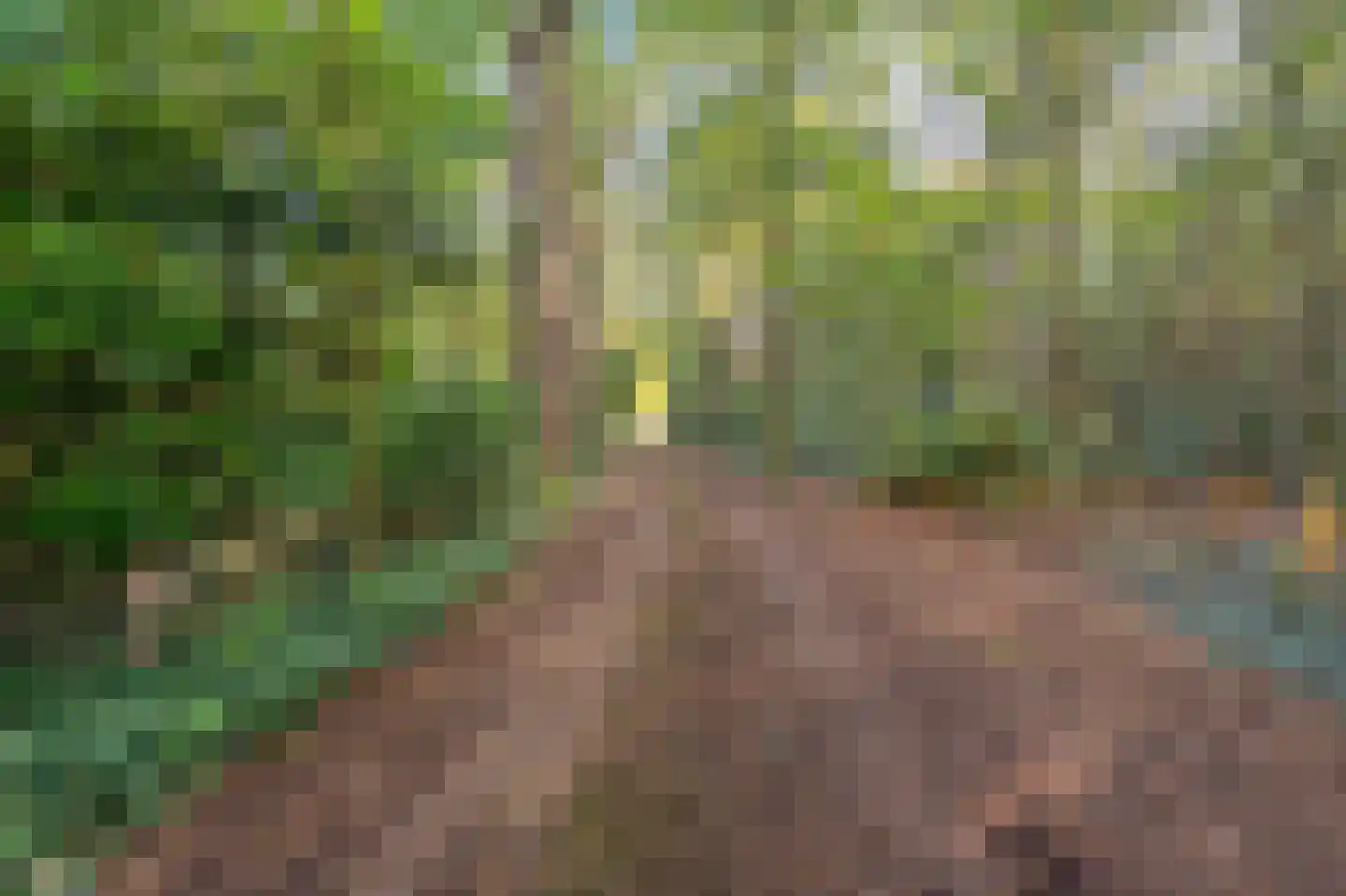 Stoevenweg 7 Heino thumbnail 59