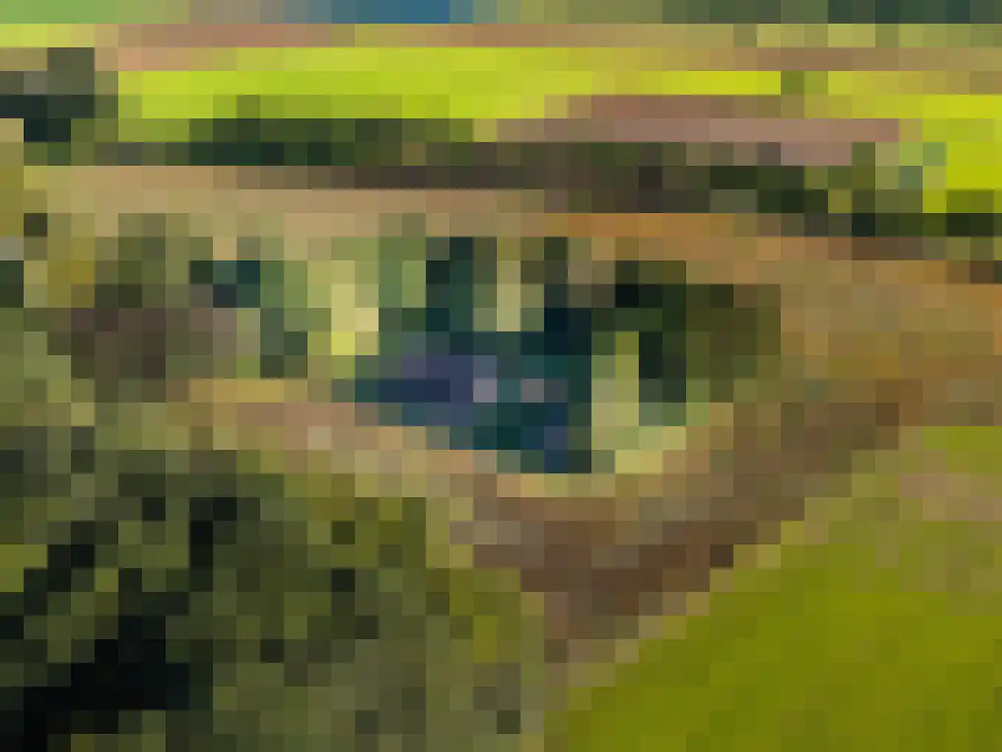 Stoevenweg 7 Heino thumbnail 6