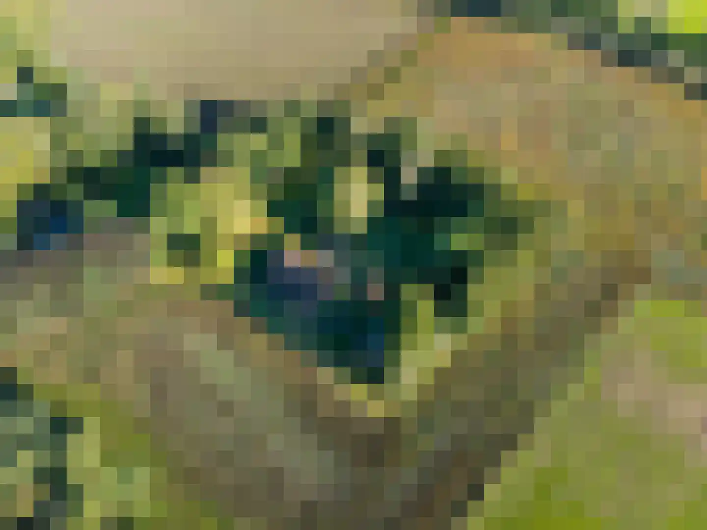 Stoevenweg 7 Heino thumbnail 64