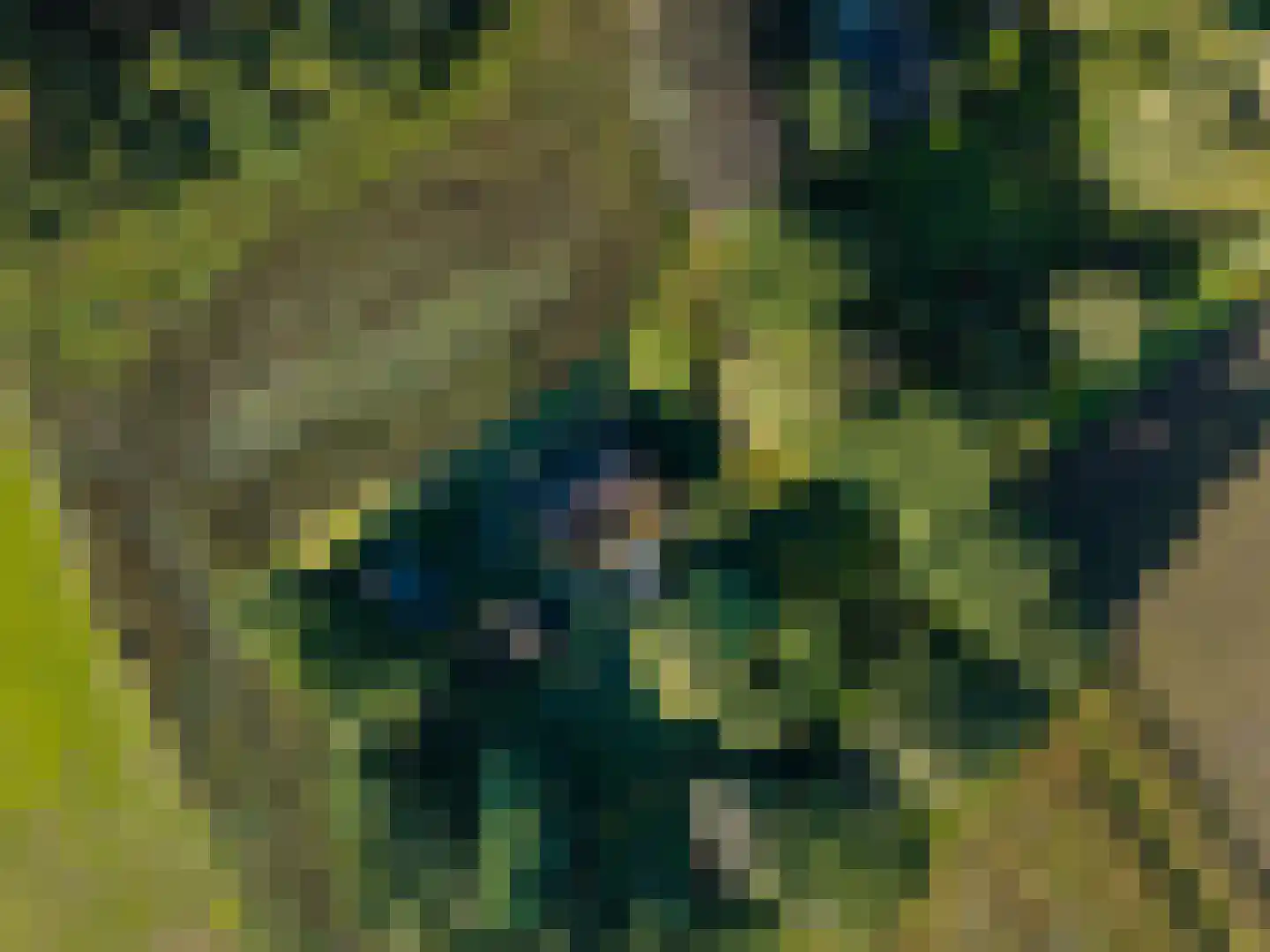 Stoevenweg 7 Heino thumbnail 65