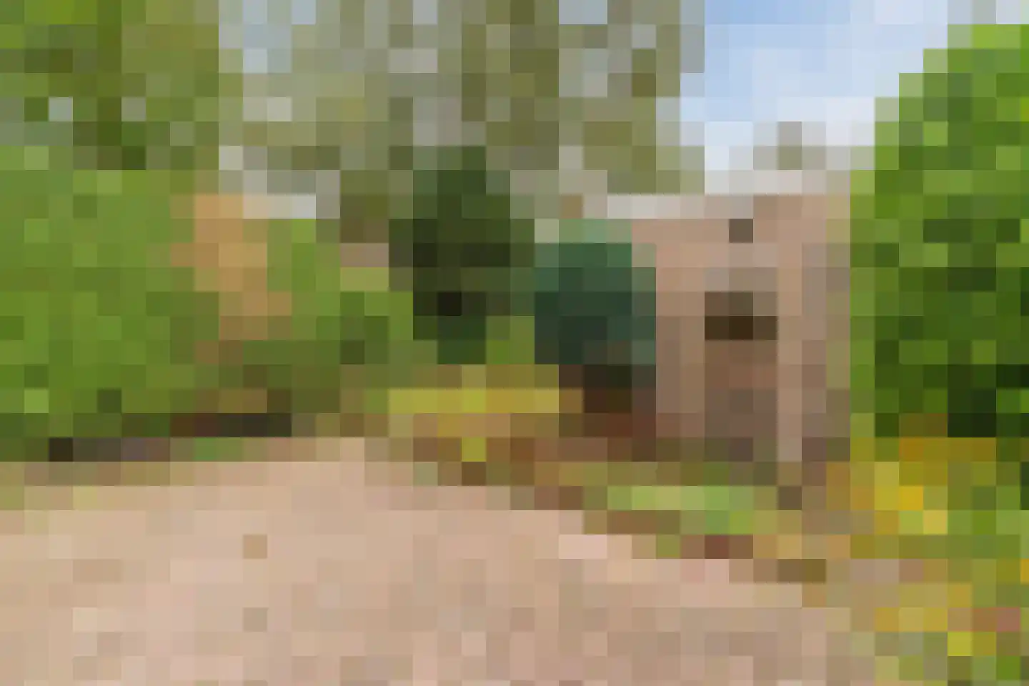 Stofakkers 32 Ruinen thumbnail 34