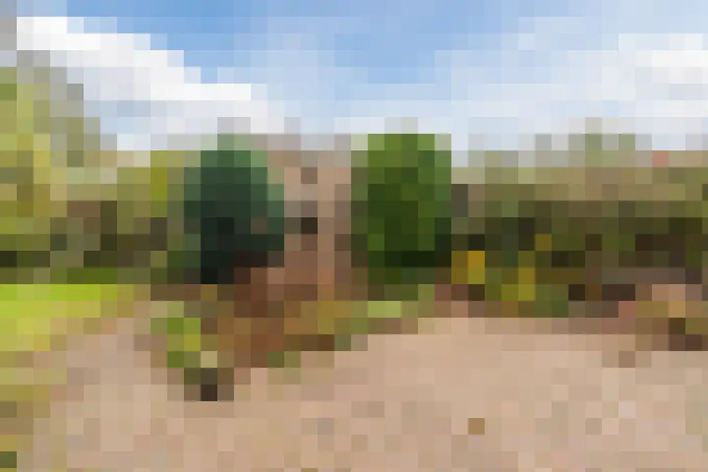 Stofakkers 32 Ruinen thumbnail 35
