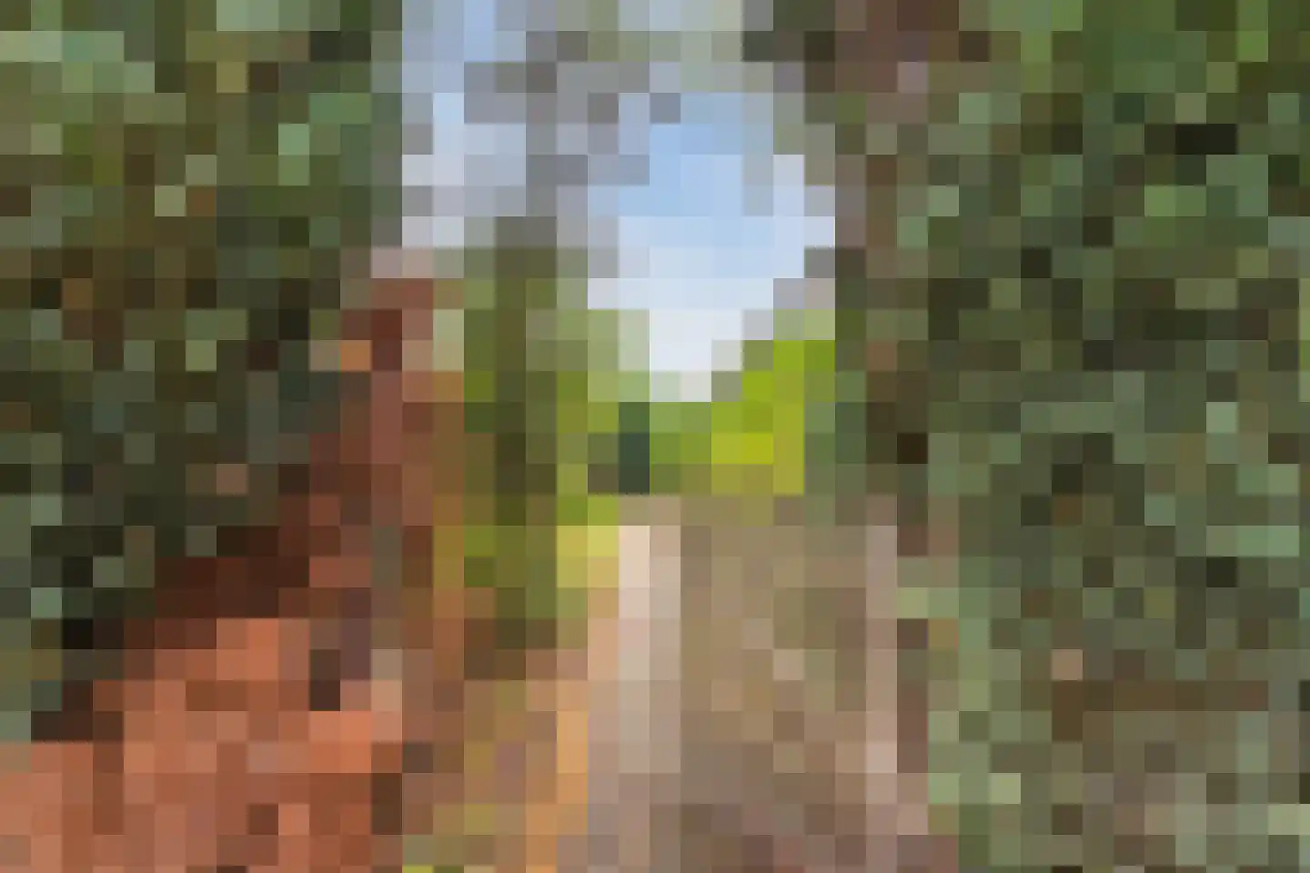 Stofakkers 32 Ruinen thumbnail 36