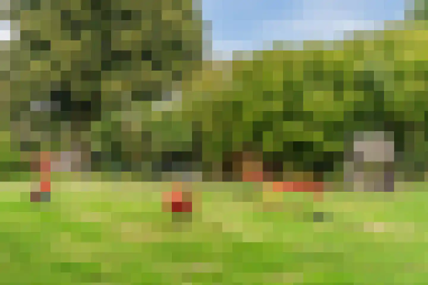Stofakkers 32 Ruinen thumbnail 37