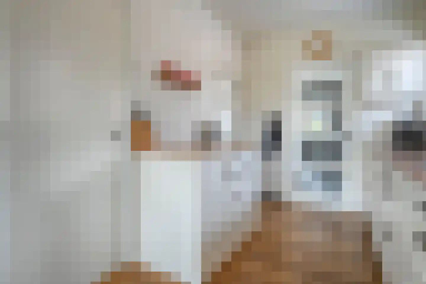 Stofakkers 72 Ruinen thumbnail 20