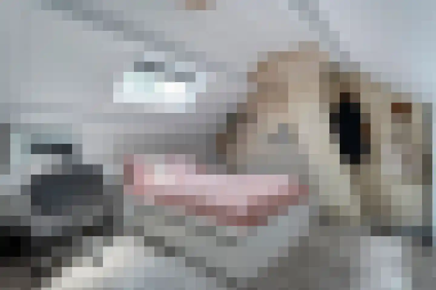 Stofakkers 72 Ruinen thumbnail 25