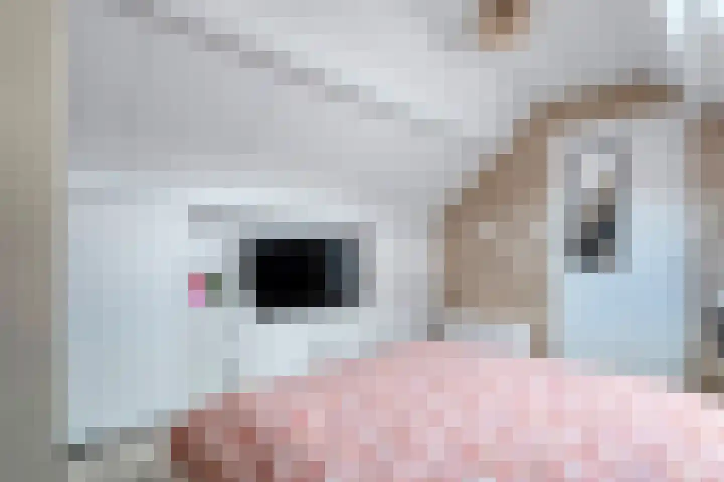 Stofakkers 72 Ruinen thumbnail 26