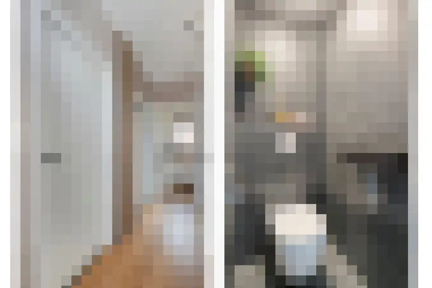 Stofakkers 72 Ruinen thumbnail 7