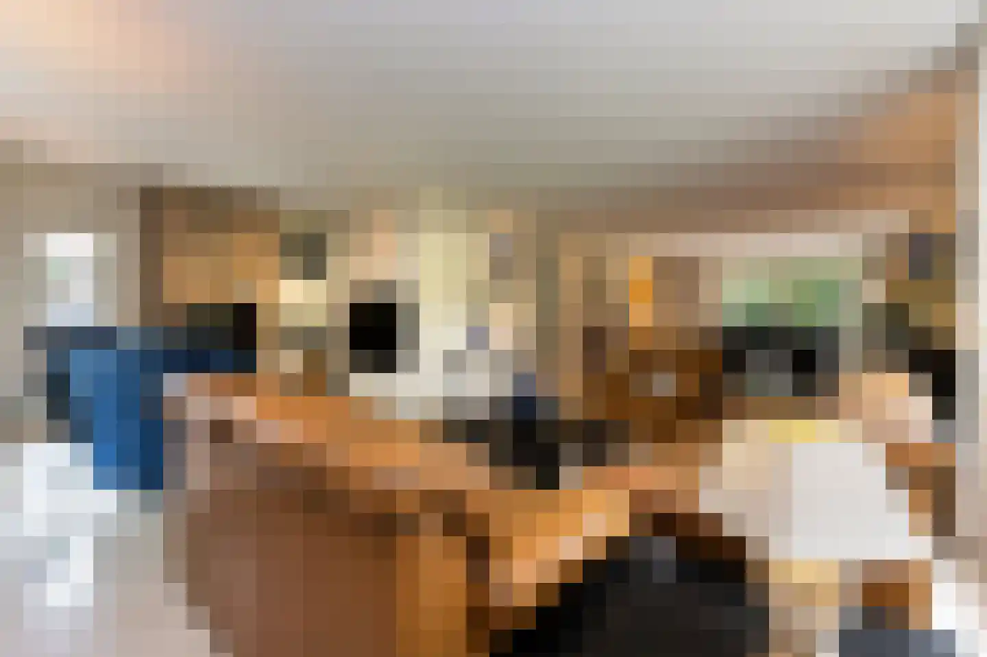 Stoffels 101 Uden thumbnail 13