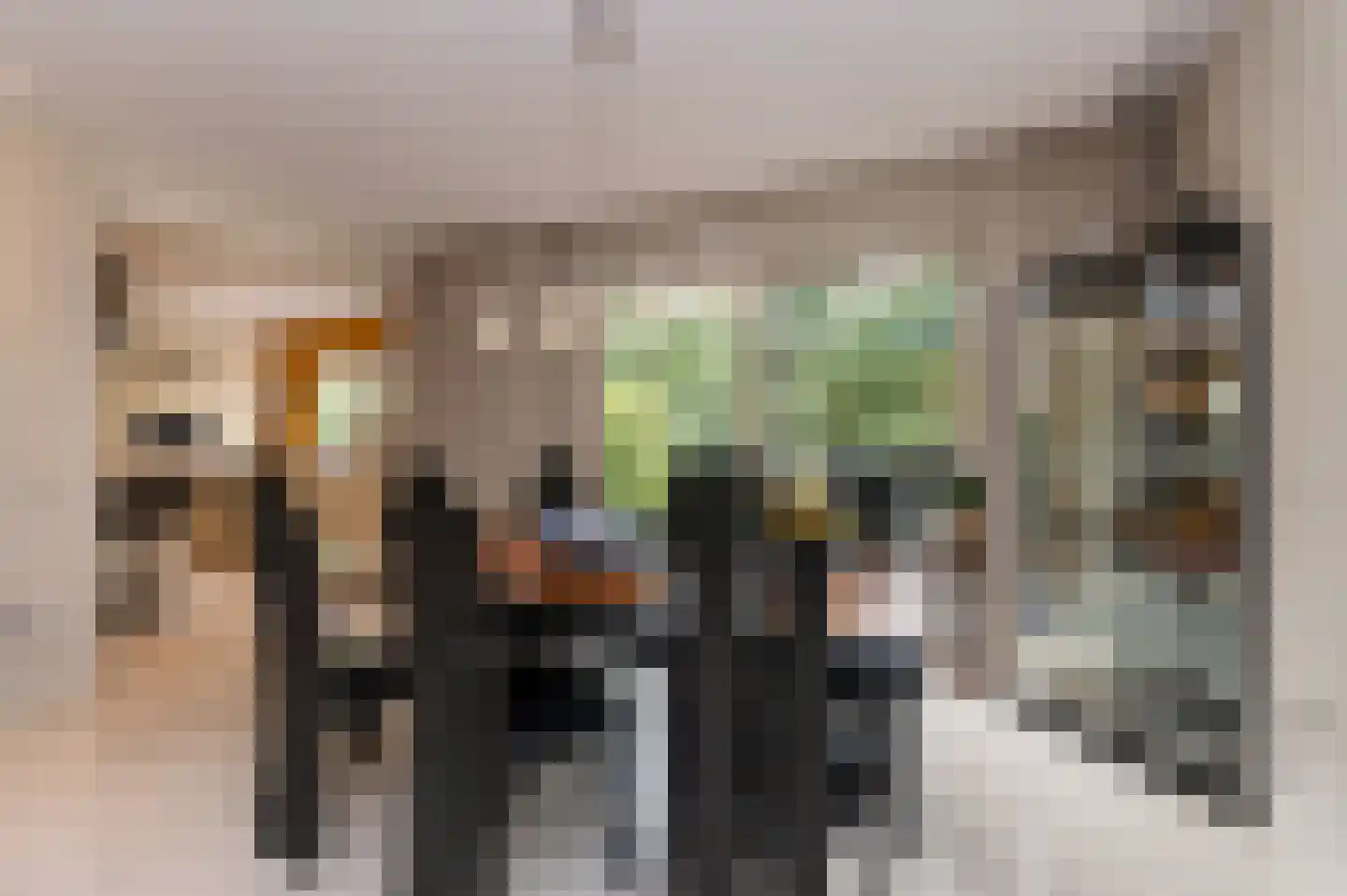 Stoffels 101 Uden thumbnail 17