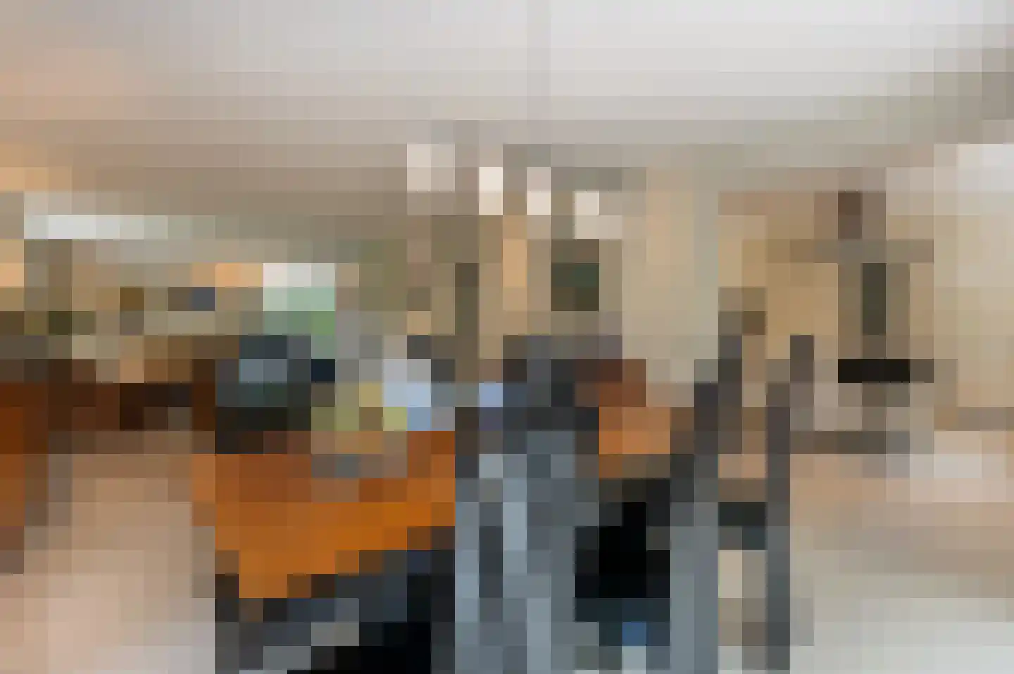 Stoffels 101 Uden thumbnail 18