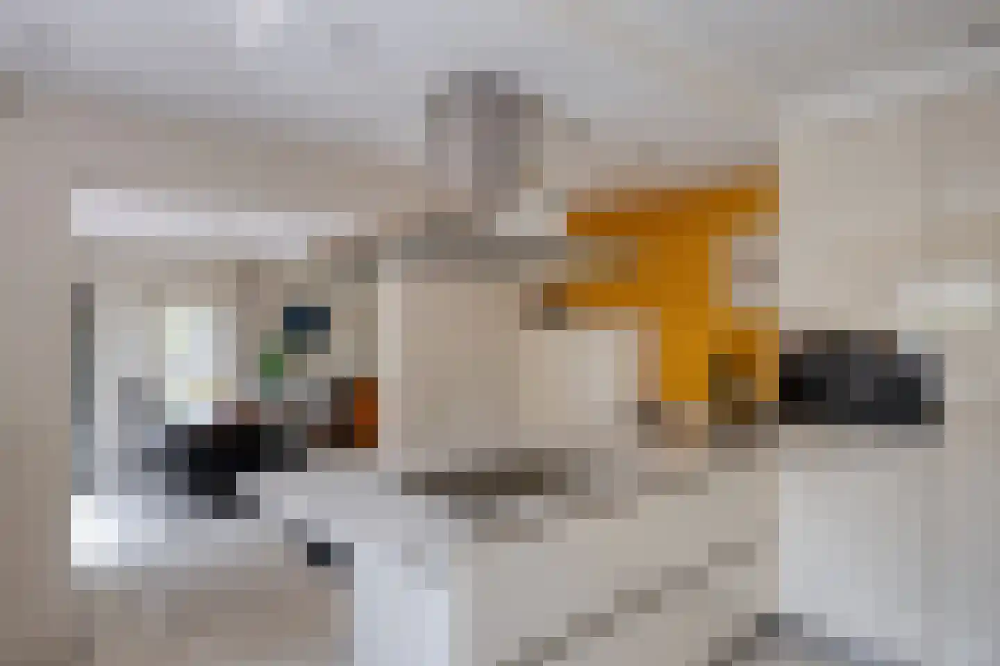Stoffels 101 Uden thumbnail 19