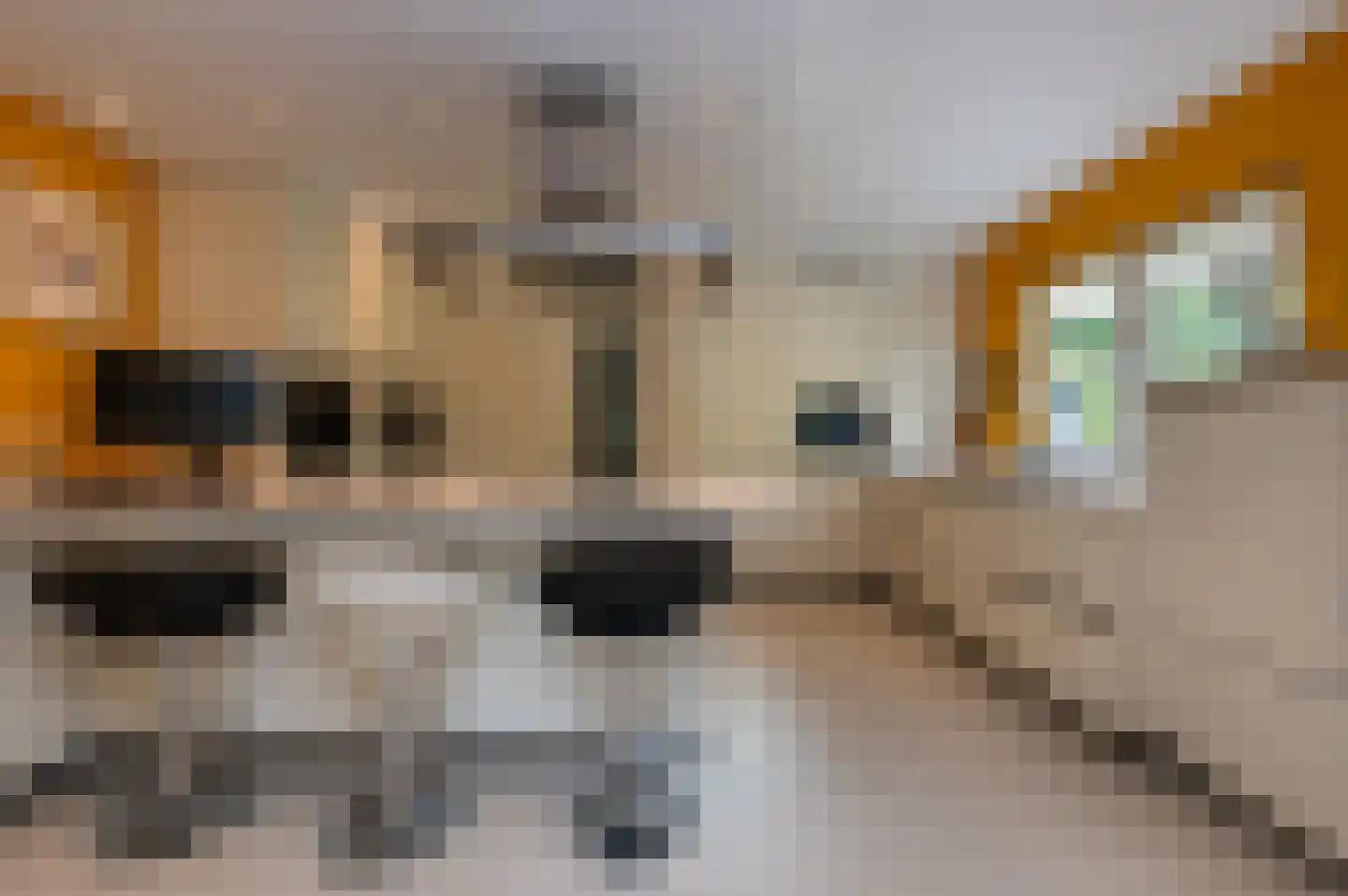 Stoffels 101 Uden thumbnail 20