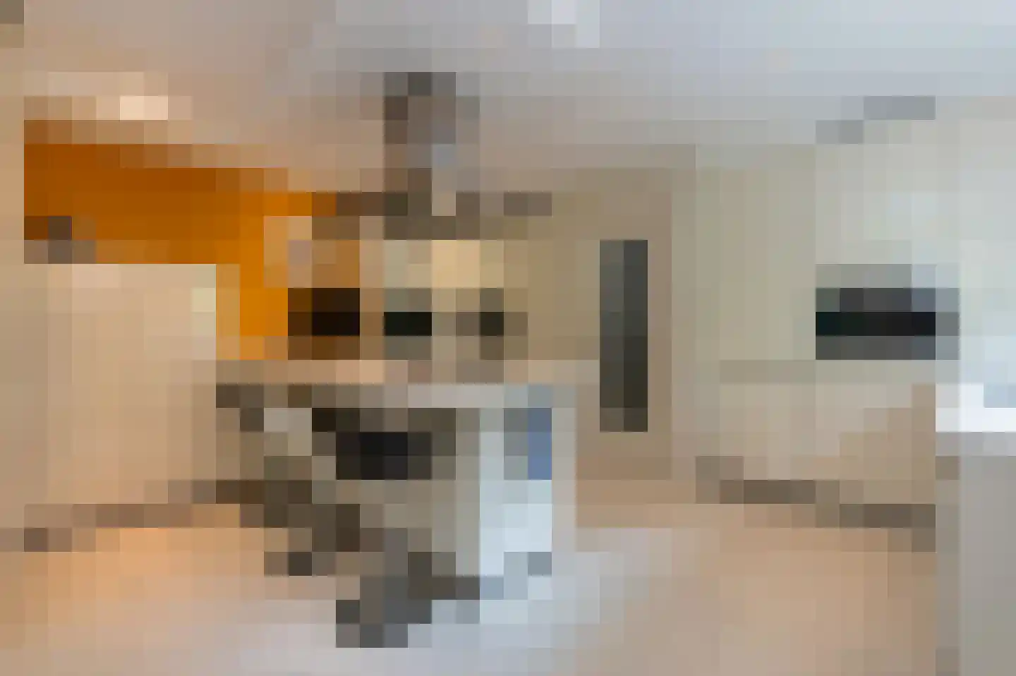 Stoffels 101 Uden thumbnail 21