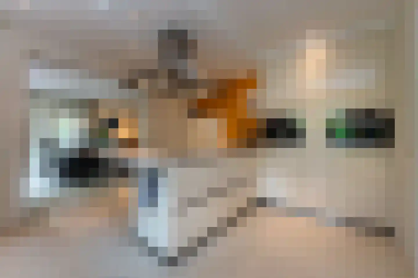 Stoffels 101 Uden thumbnail 22