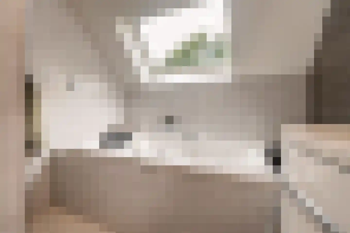 Stoffels 101 Uden thumbnail 32