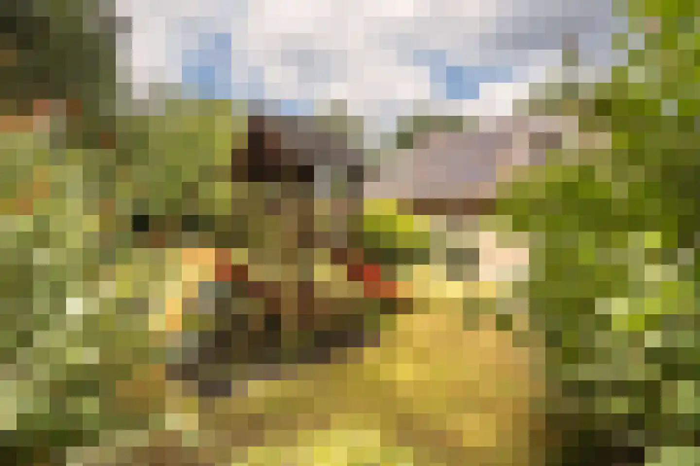 Stoffels 101 Uden thumbnail 4