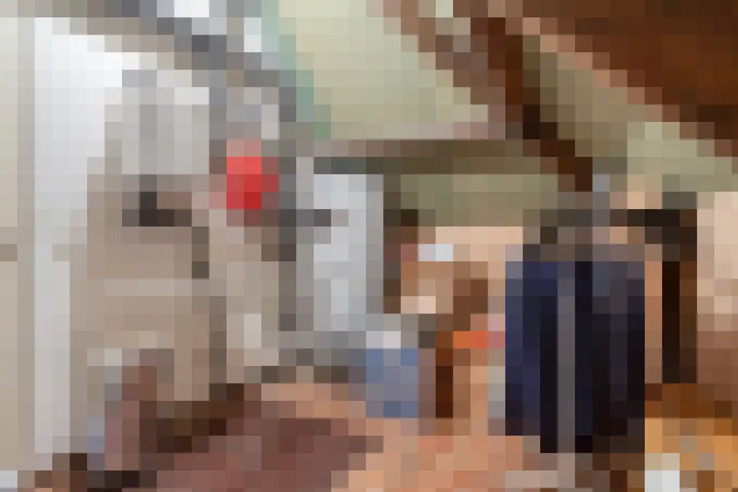 Stoffels 101 Uden thumbnail 40
