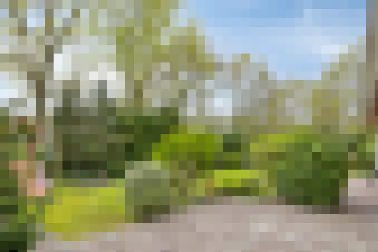 Stoffels 101 Uden thumbnail 42