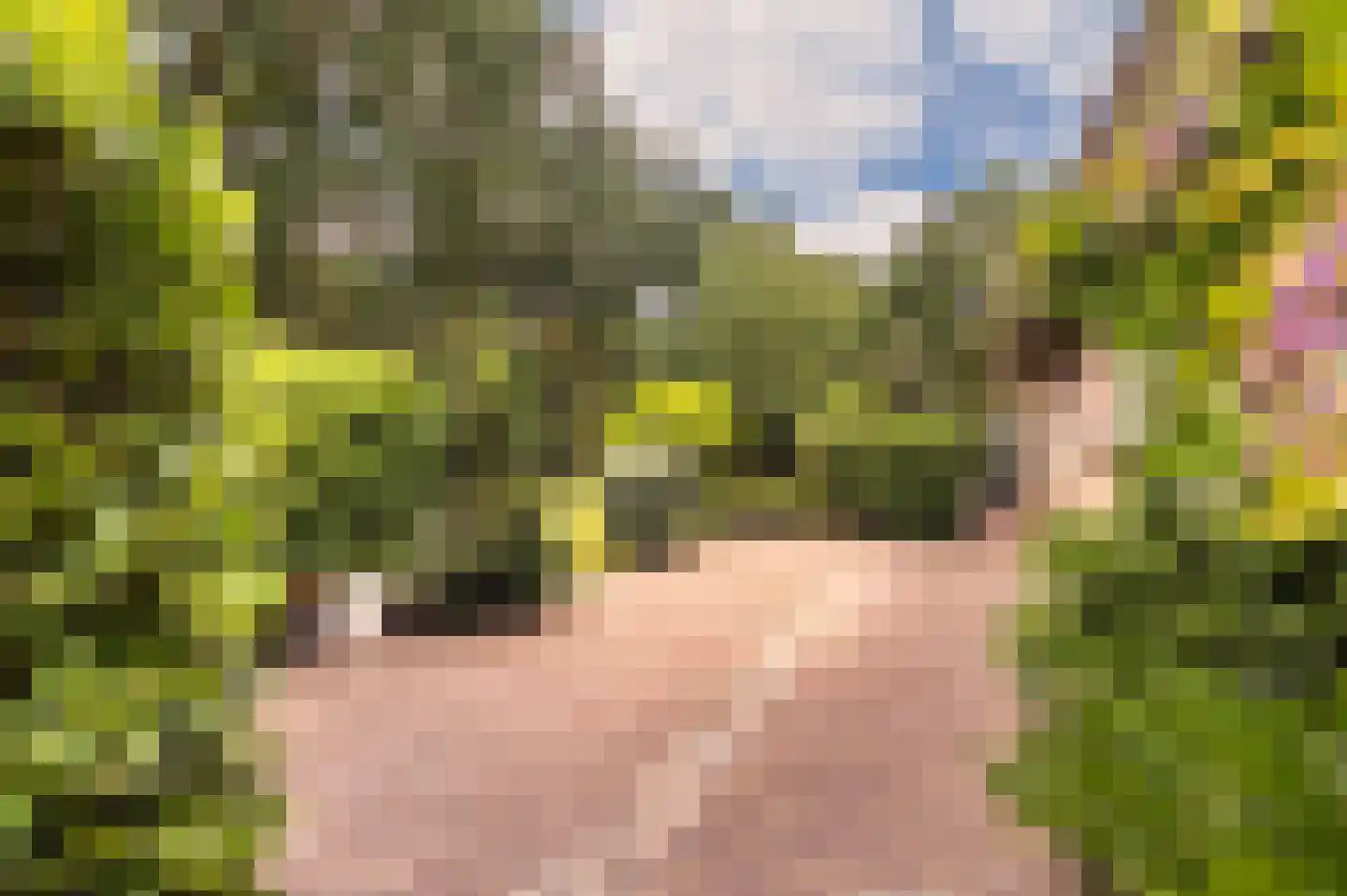 Stoffels 101 Uden thumbnail 45