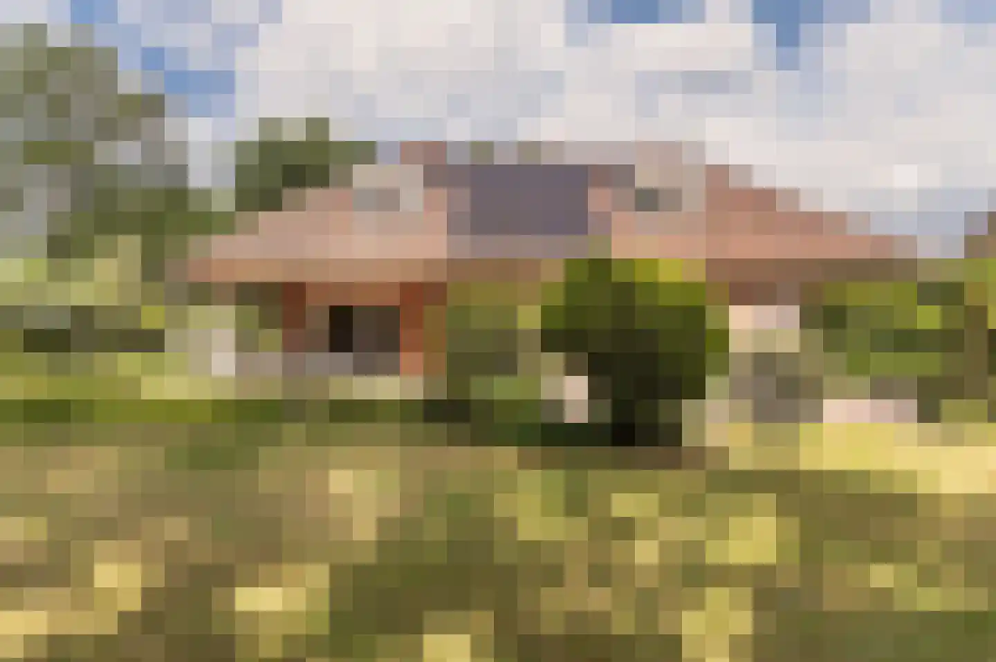 Stoffels 101 Uden thumbnail 48