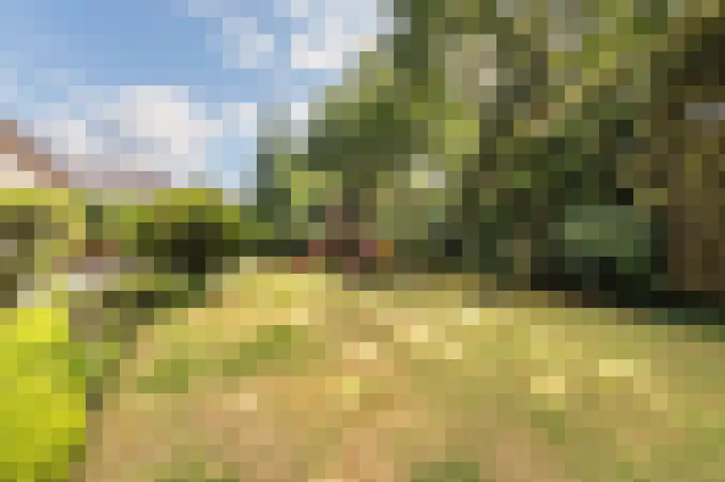 Stoffels 101 Uden thumbnail 49