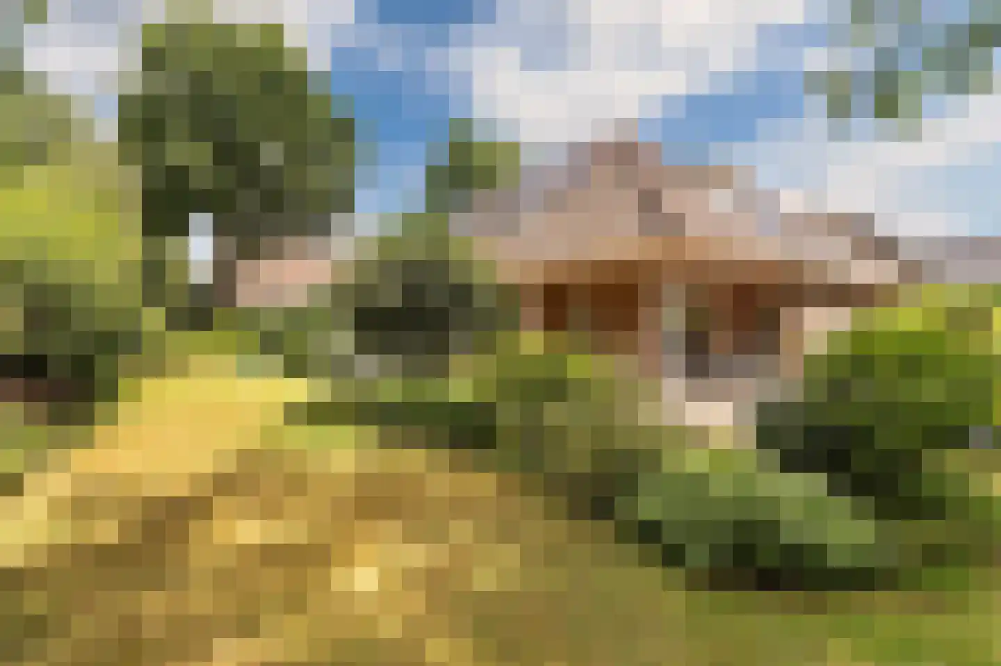 Stoffels 101 Uden thumbnail 51