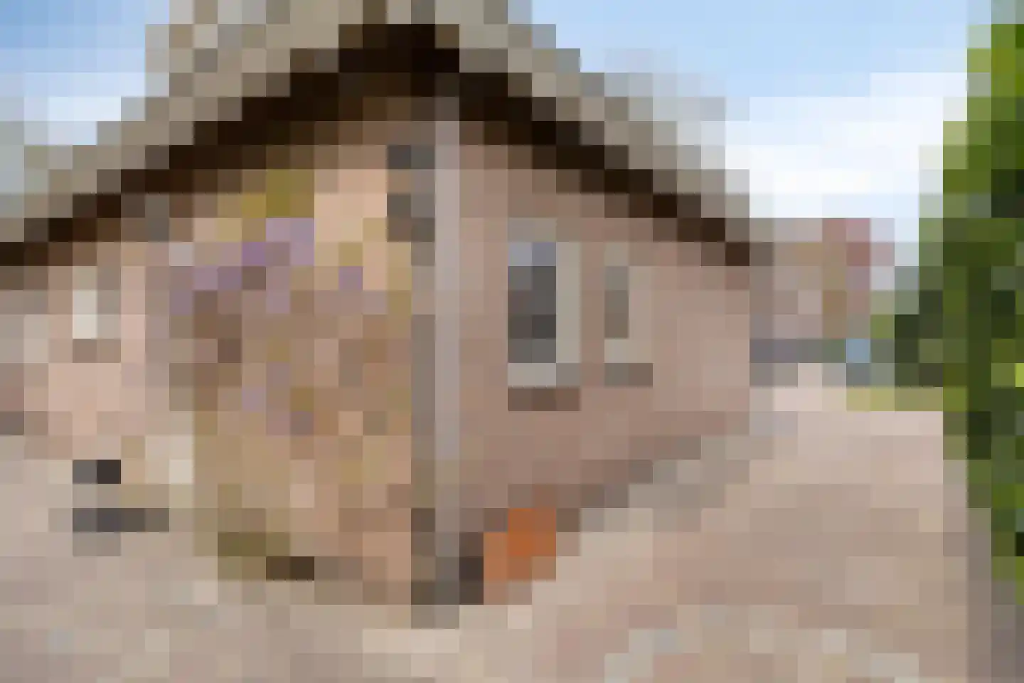 Stoffels 101 Uden thumbnail 54