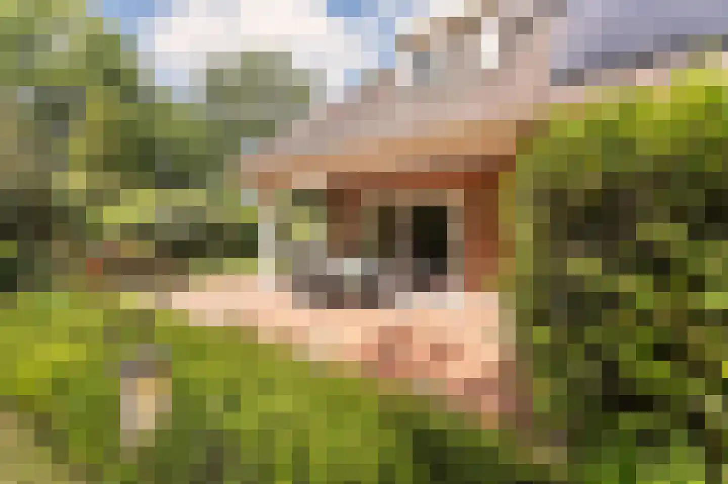 Stoffels 101 Uden thumbnail 55