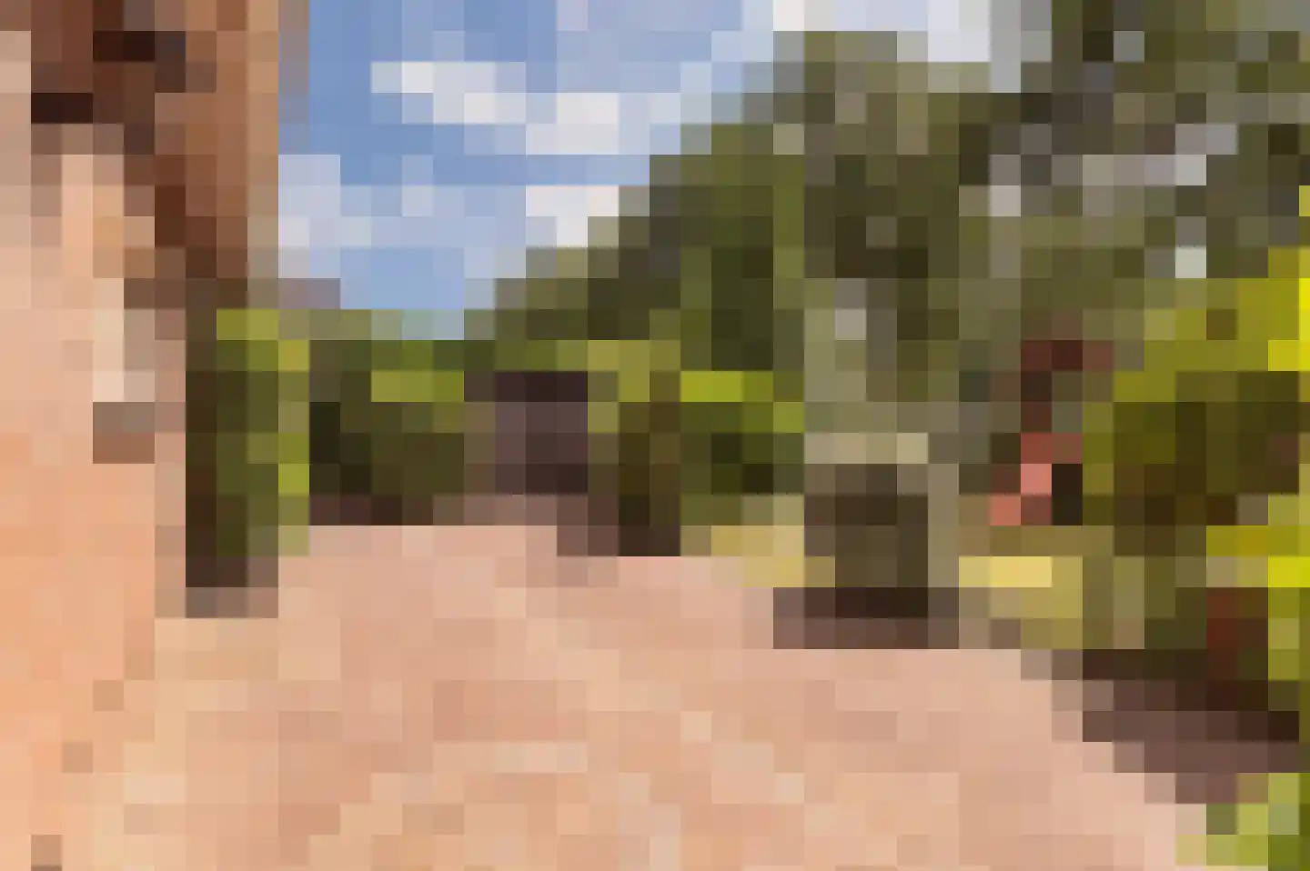 Stoffels 101 Uden thumbnail 56
