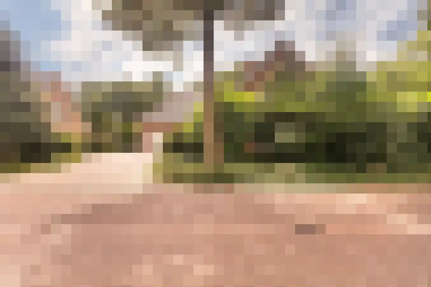 Stoffels 101 Uden thumbnail 59