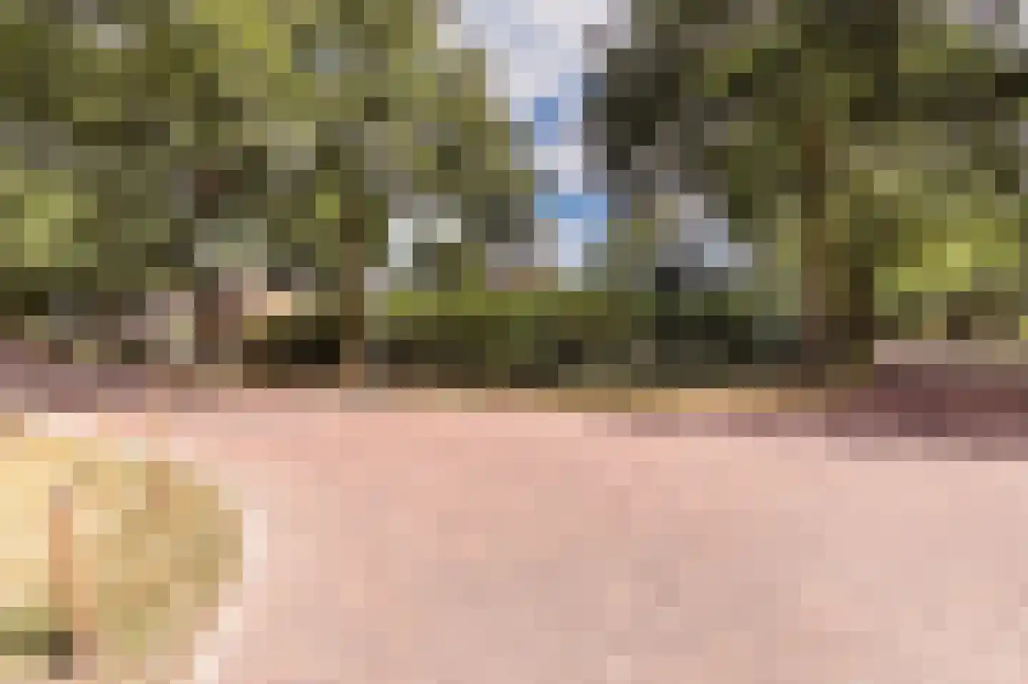 Stoffels 101 Uden thumbnail 62