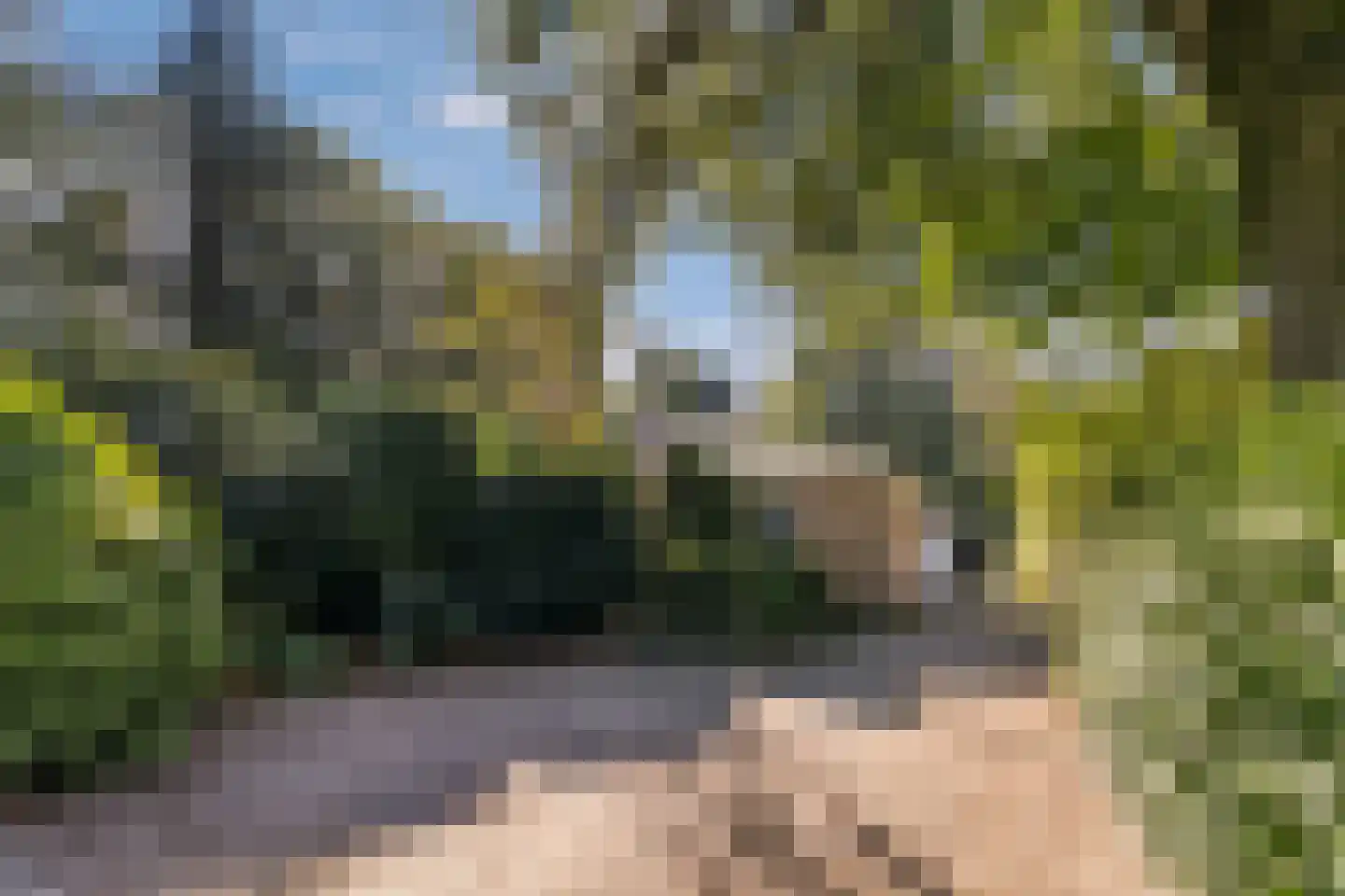 Stoffels 220 Uden thumbnail 11