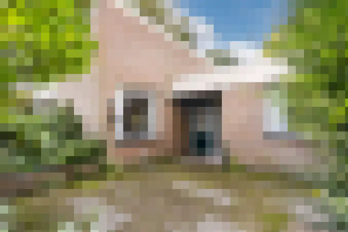 Stoffels 220 Uden thumbnail 12