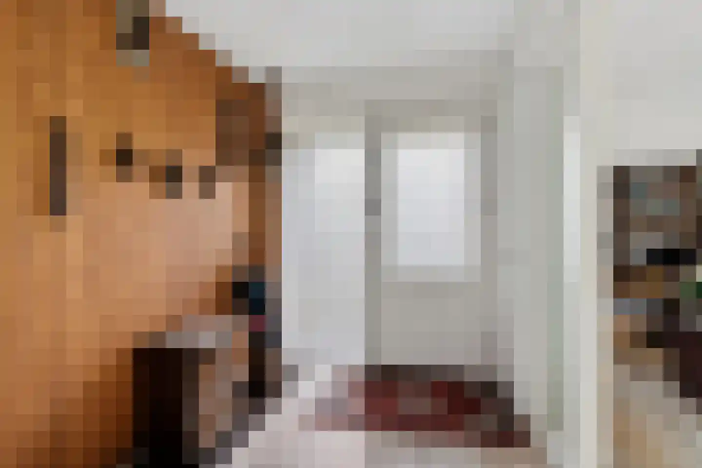 Stoffels 220 Uden thumbnail 13