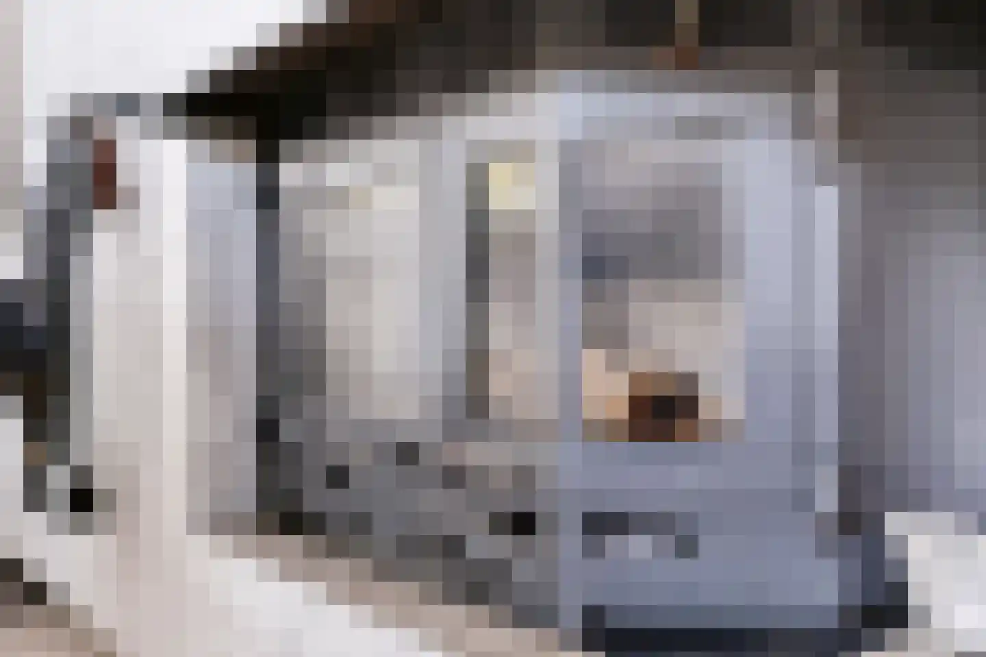 Stoffels 220 Uden thumbnail 26