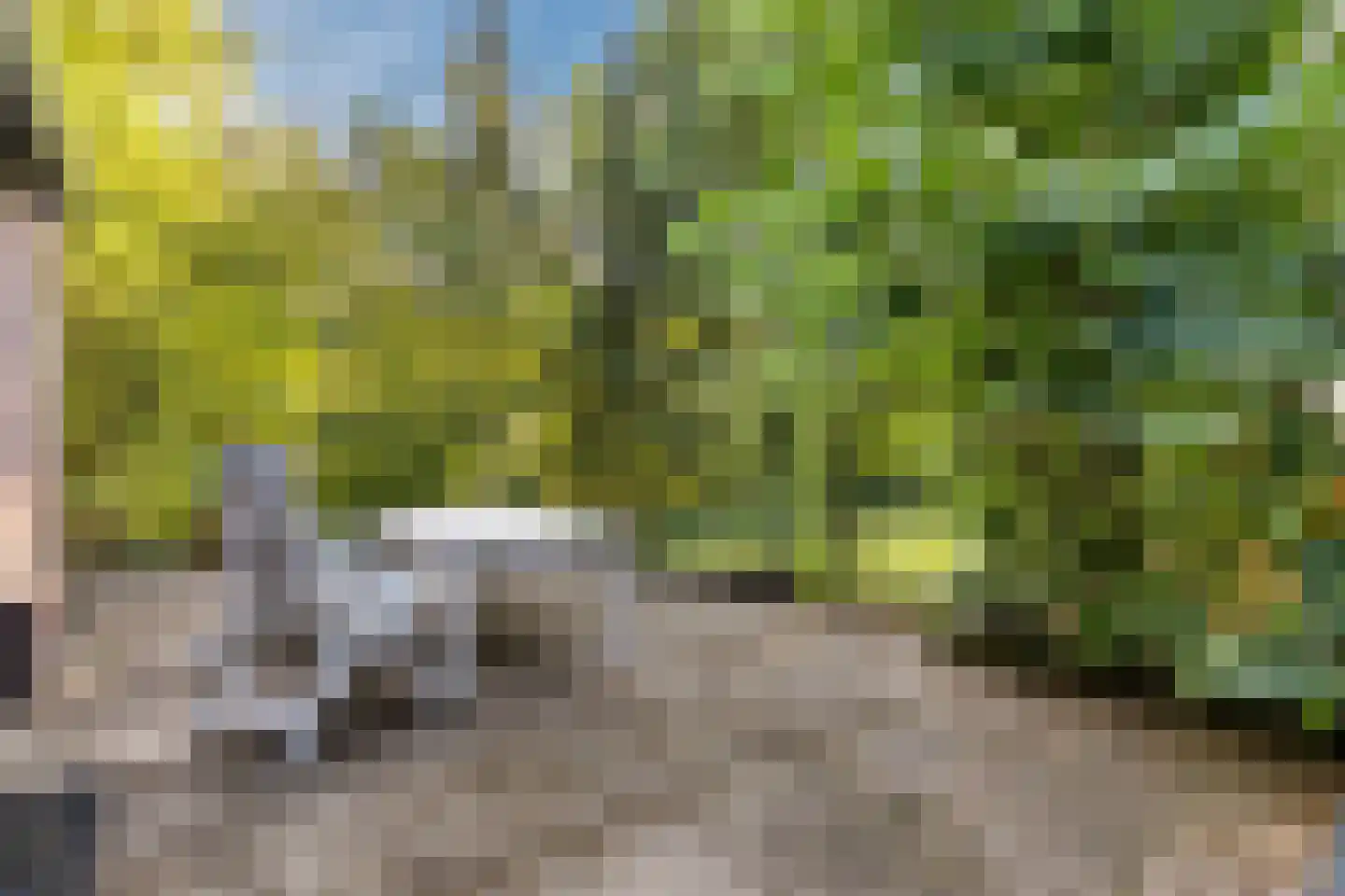 Stoffels 220 Uden thumbnail 64