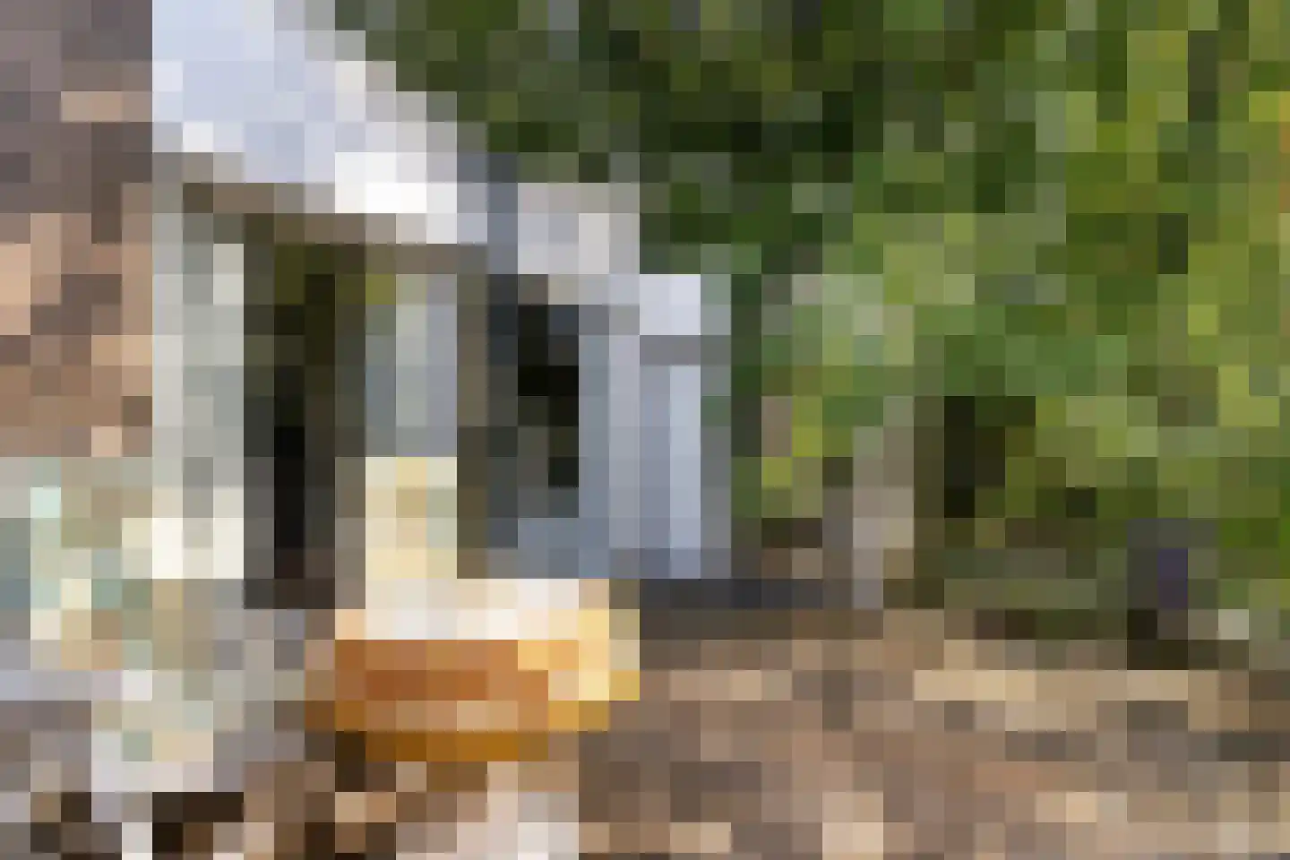 Stoffels 220 Uden thumbnail 66