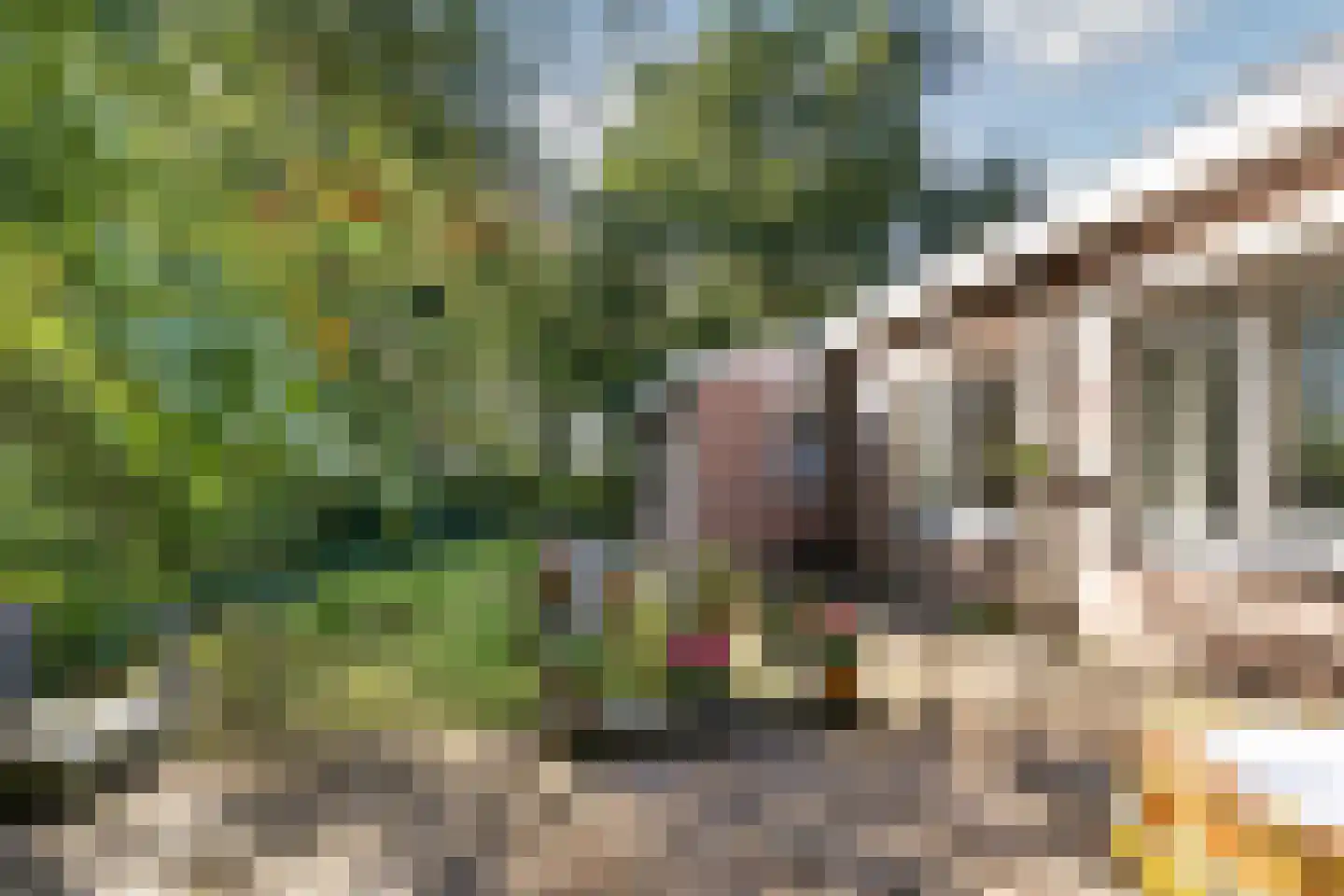 Stoffels 220 Uden thumbnail 67