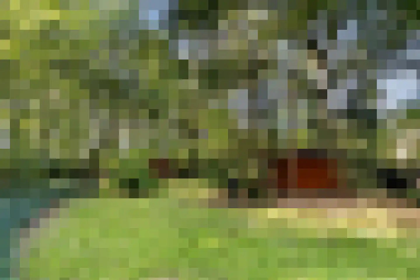 Stoffels 220 Uden thumbnail 68