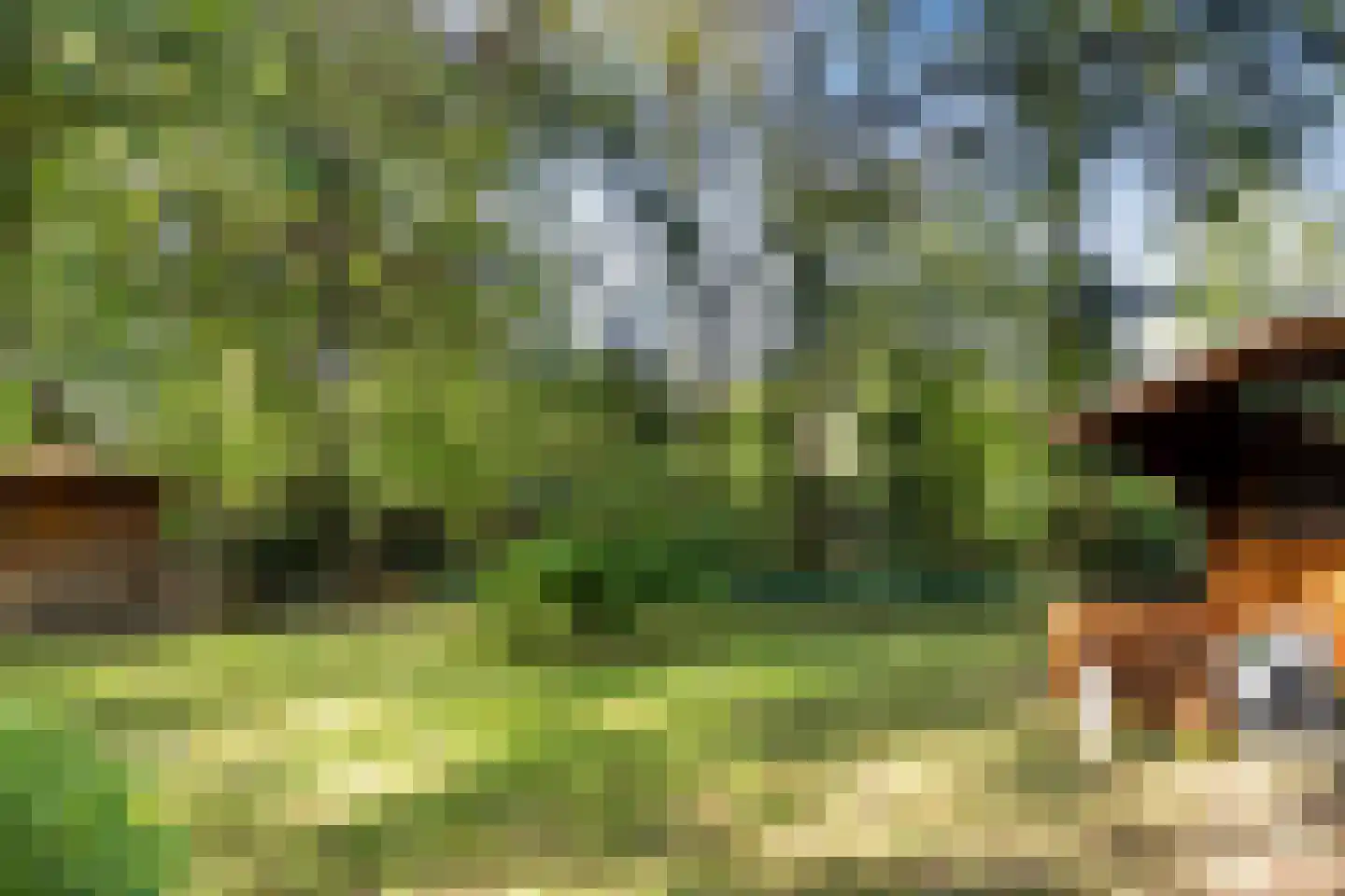 Stoffels 220 Uden thumbnail 69