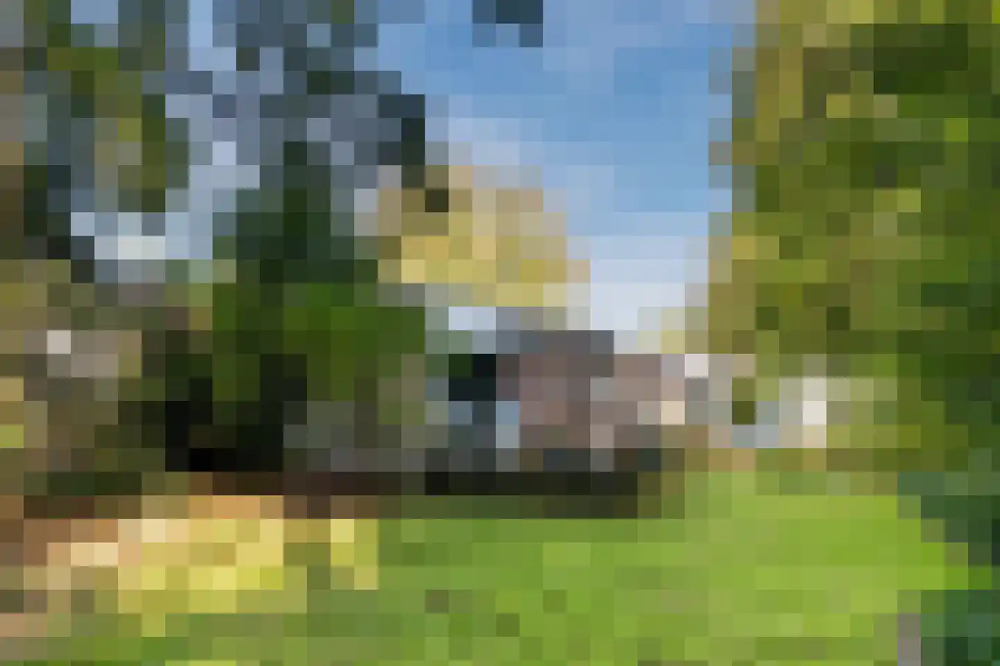 Stoffels 220 Uden thumbnail 70