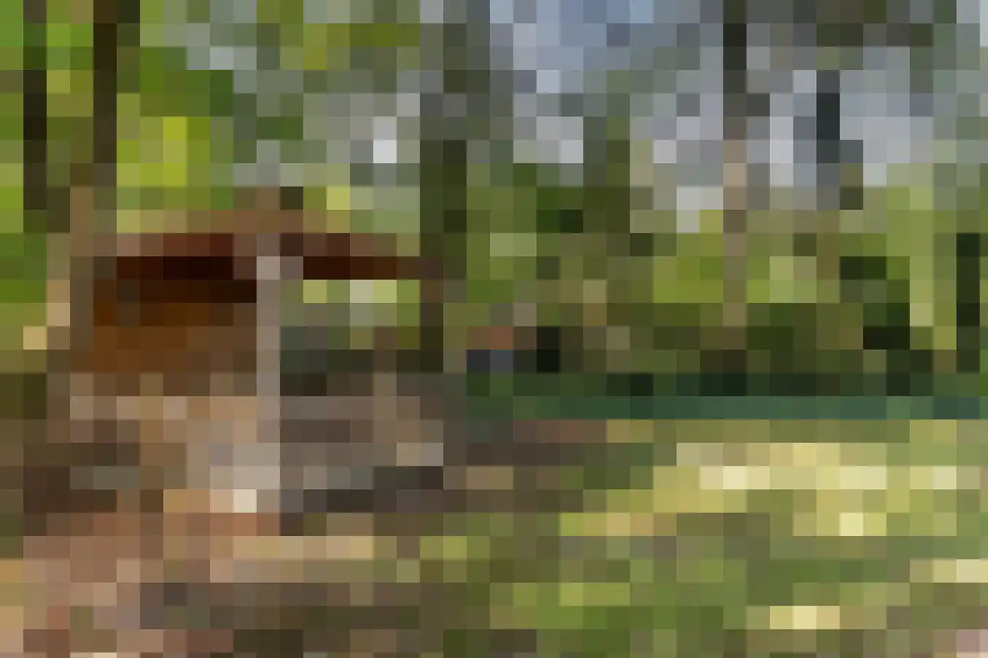 Stoffels 220 Uden thumbnail 71
